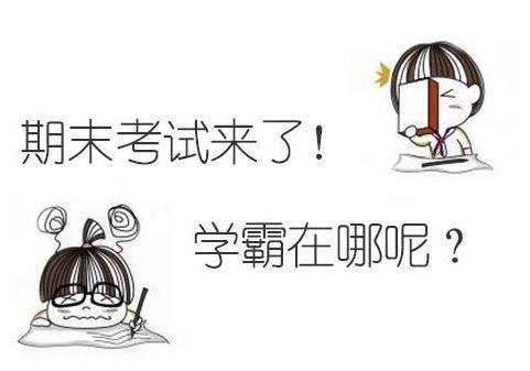 期末考试考砸了的学生应该如何补救，成功逆袭？
