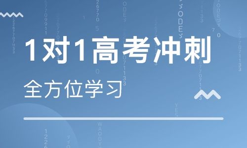 郑州高考1对1冲刺补习，个性化辅导提分更高效