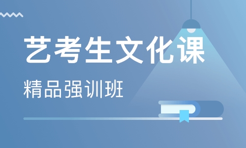 郑州艺考生文化课集训班,不要让文化课拉了后腿！