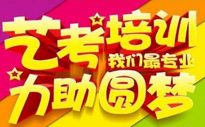 郑州艺术生文化课补习选择哪里好