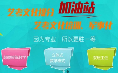 郑州艺术生文化课集训哪家好