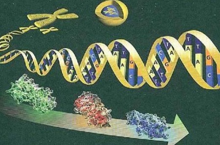 2021届高三生物一轮复习方法及建议