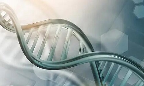 高中生物学考知识点有哪些