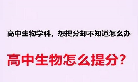 高三生物成绩提高有什么窍门