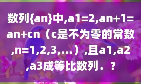 排列组合Cn和An公式怎么理解