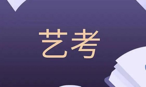 艺术生不参加省联考能参加校考吗