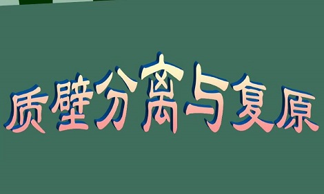 细胞的质壁分离与复原说明了什么