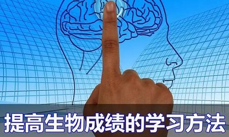 高三生物提分最快的方法是什么